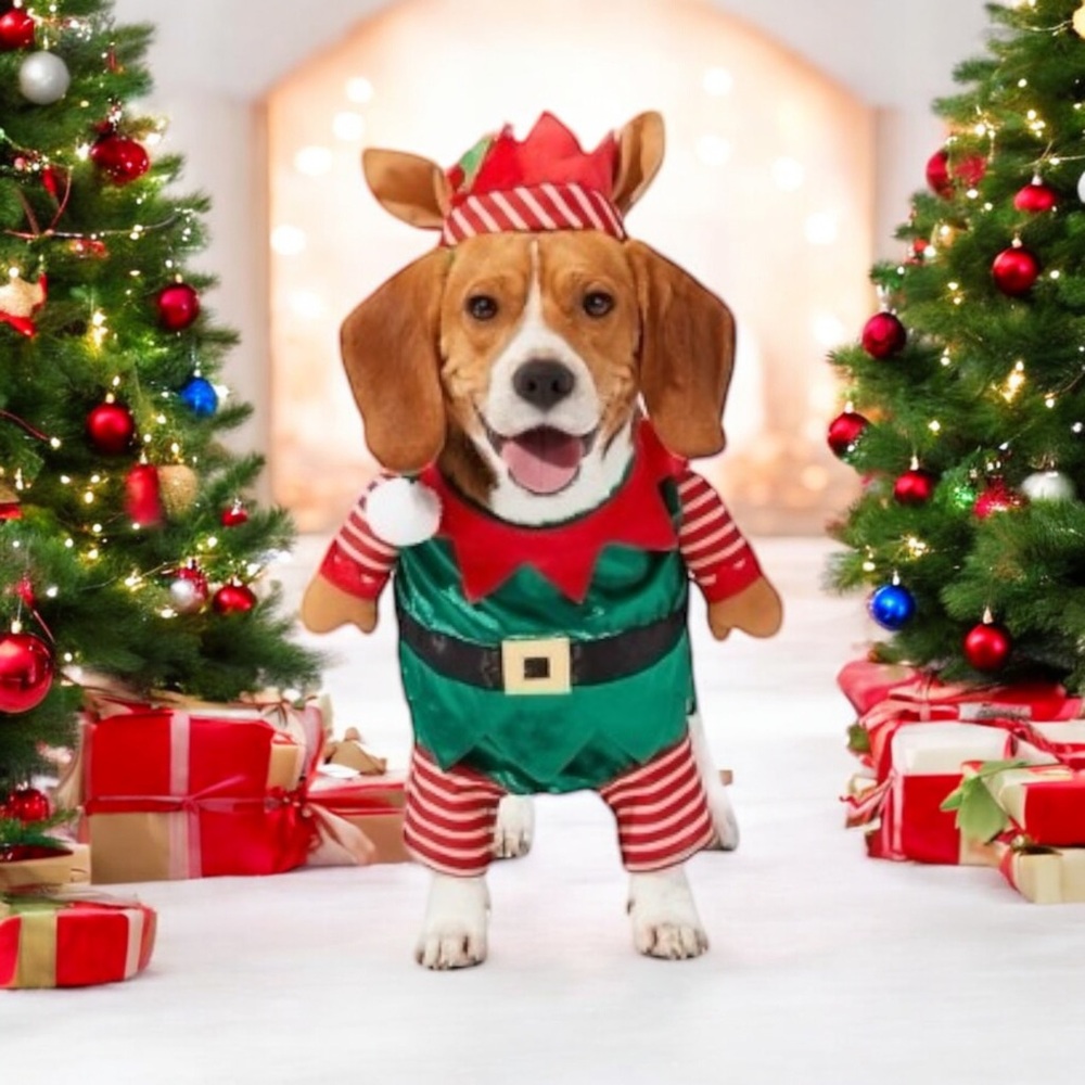 Poochie pup pup elf costume